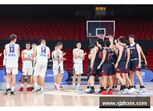 飞跃高峰：篮球之梦